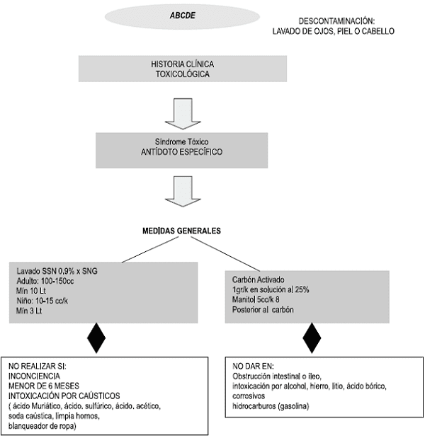 Descontaminación Descontaminación