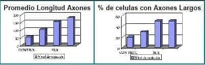 Porcentaje de crecimiento de células con axones largos y de longitud promedio de los axones. Porcentaje de crecimiento de células con axones largos y de longitud promedio de los axones.