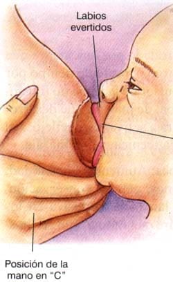 Forma de amamantar el bebe 1 Forma de amamantar el bebe 1