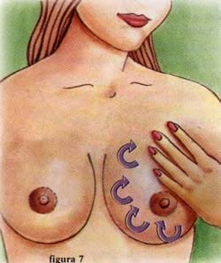 Movimiento circular con los dedos en cada seno - Lactancia Movimiento circular con los dedos en cada seno - Lactancia