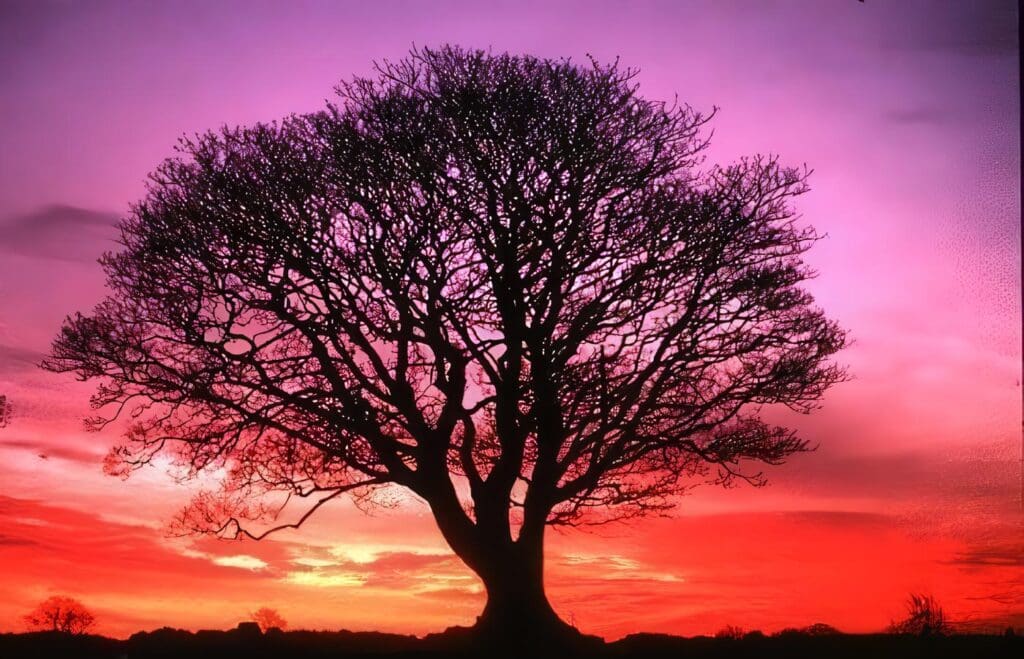 El Gran Árbol de la Vida