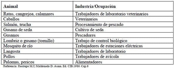 Causas animales de asma ocupacional