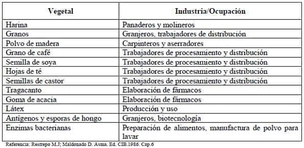 Causas vegetales de asma ocupacional