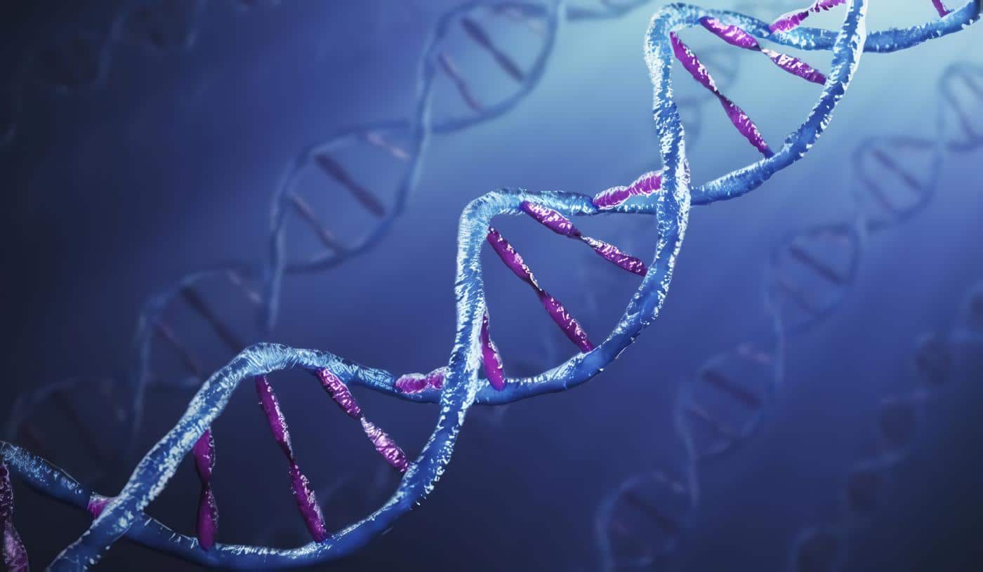 Ética médica y Bioética