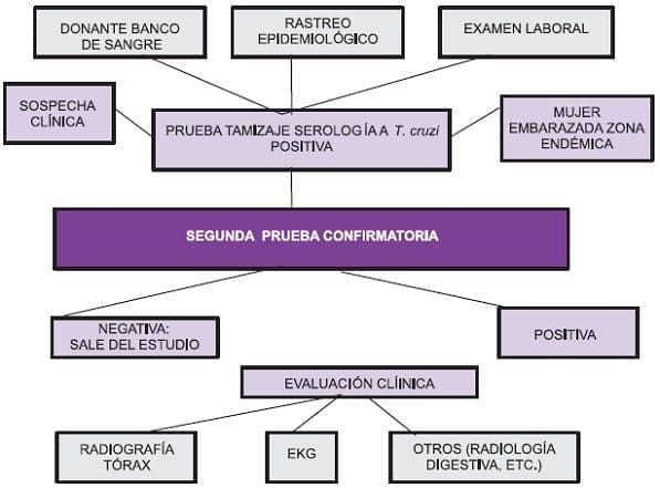 Paciente seropositivo en Enfermedad de Chagas
