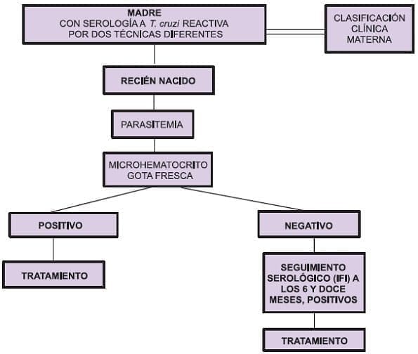 Flujograma de diagnóstico y manejo de chagas congénito