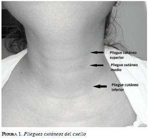 Pliegues cutáneos del cuello