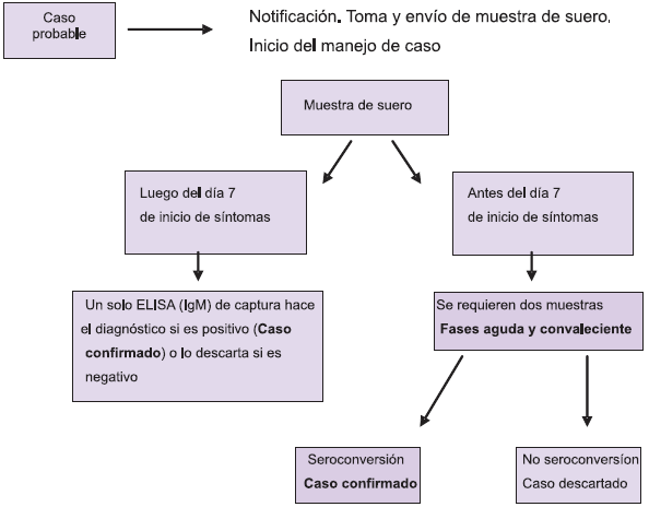 Vigilancia pasiva en fiebre amarilla Vigilancia pasiva en fiebre amarilla