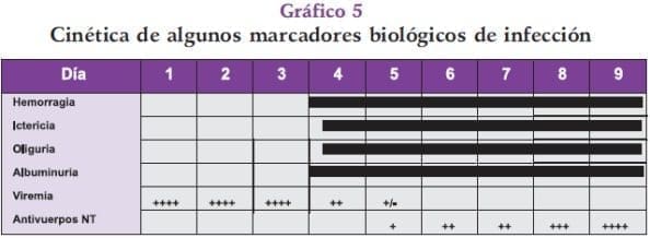 Marcadores biológicos de infección fiebre amarilla Marcadores biológicos de infección fiebre amarilla