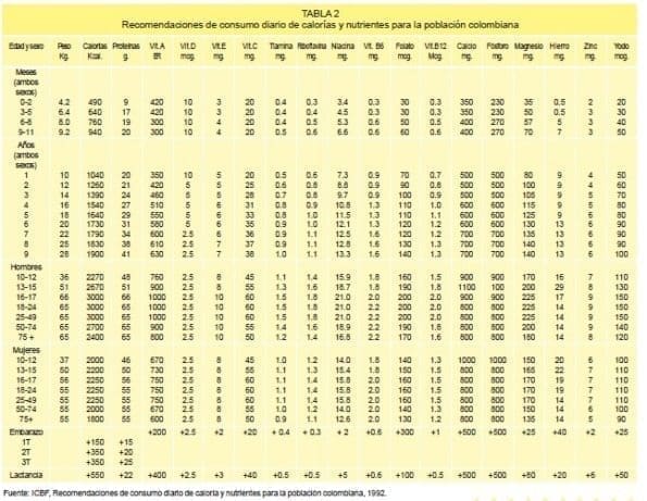 Recomendación de consumo diario de calorías embarazo Recomendación de consumo diario de calorías embarazo