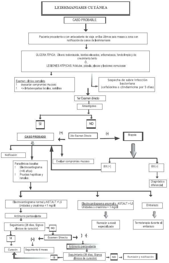 Leishmaniasis cutánea - Flujograma