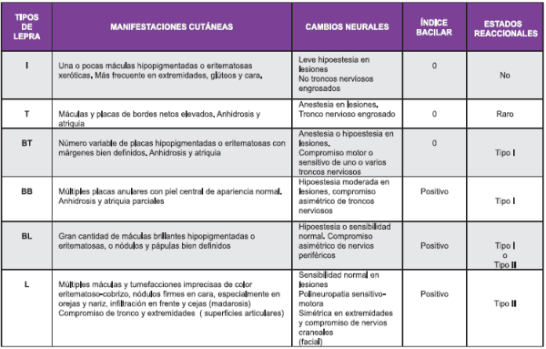 Manifestaciones clínicas – correlación baciloscópica Lepra