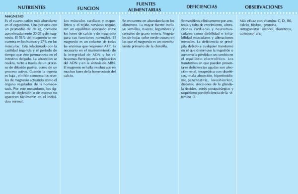 Nutrientes - guías alimentarias - fuentes Nutrientes - guías alimentarias - fuentes