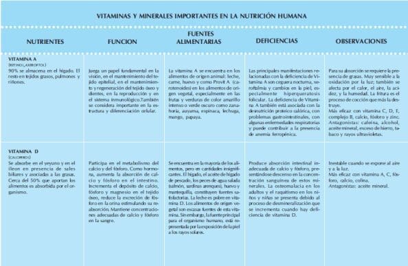 Vitaminas y minerales importantes en la nutrición humana Vitaminas y minerales importantes en la nutrición humana