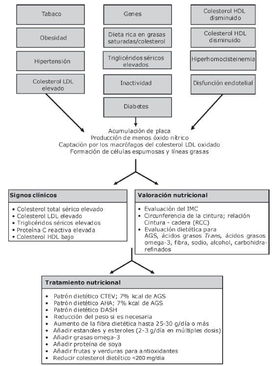 Consejos sobre estilos de vida - Factores de Riesgo Consejos sobre estilos de vida - Factores de Riesgo