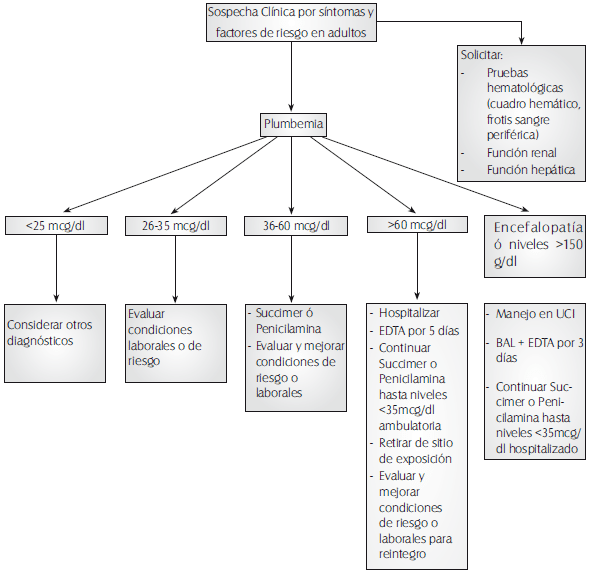Algoritmo de diagnóstico en Urgencias Toxicológicas - Plomo Algoritmo de diagnóstico en Urgencias Toxicológicas - Plomo