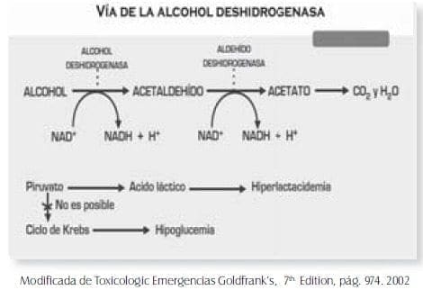 Vía de la alcohol desidrogenasa Vía de la alcohol desidrogenasa