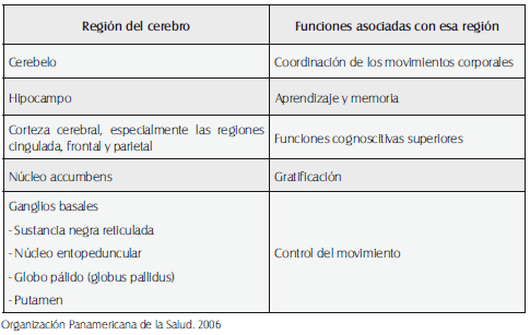 Regiones del cerebro en donde cannabinoides es abundante