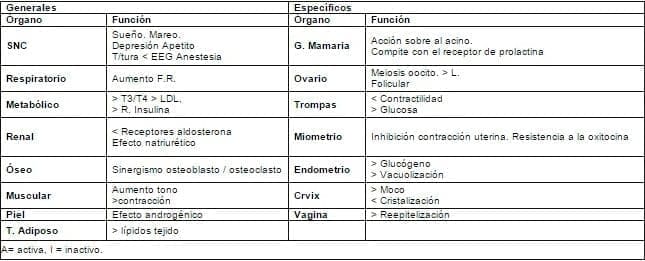 Funciones de la progesterona Funciones de la progesterona