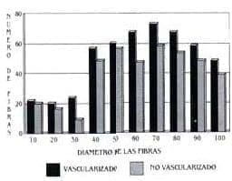 Diámetros de fibras vascularizadas y no vascularizadas Diámetros de fibras vascularizadas y no vascularizadas