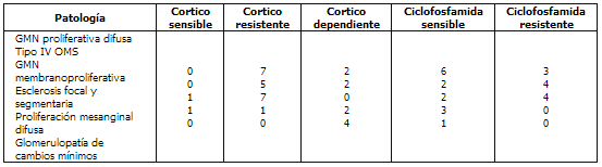 Síndrome Nefrótico Patología Síndrome Nefrótico Patología