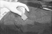 Prueba de Allen técnica 1 Prueba de Allen técnica 1