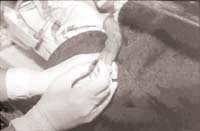 prueba de Allen asegura la mano 1  prueba de Allen asegura la mano 1