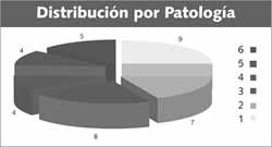 Distribución por Patología - Síndrome Nefrótico Distribución por Patología - Síndrome Nefrótico