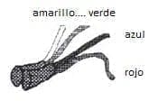 Técnica quirúrgica, rodilla e injerto Técnica quirúrgica, rodilla e injerto