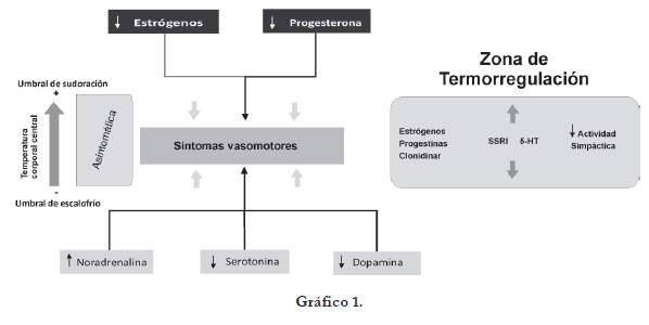Síntomas Vasomotores del síndrome climatérico Síntomas Vasomotores del síndrome climatérico