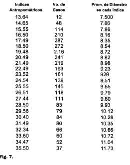Índice antropométrico Índice antropométrico