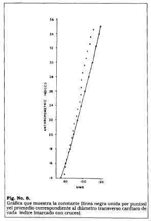Promedio diámetro cardiaco Promedio diámetro cardiaco