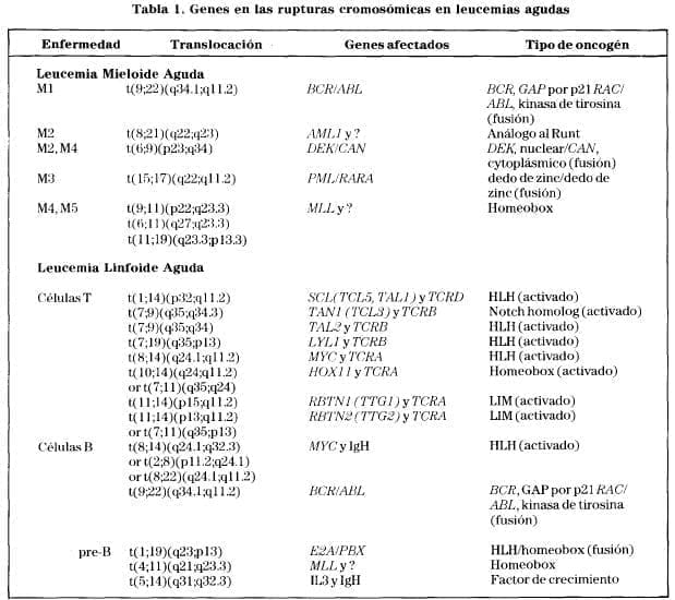 Rupturas cromosómicas de leucemia