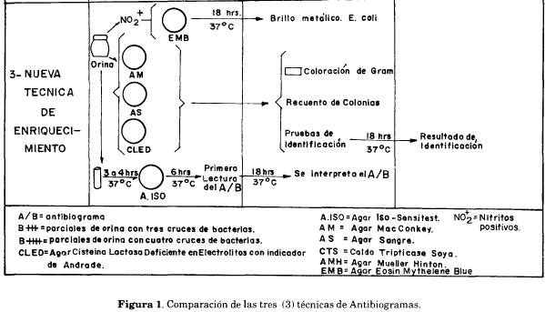 Comparación técnica antibiograma Comparación técnica antibiograma