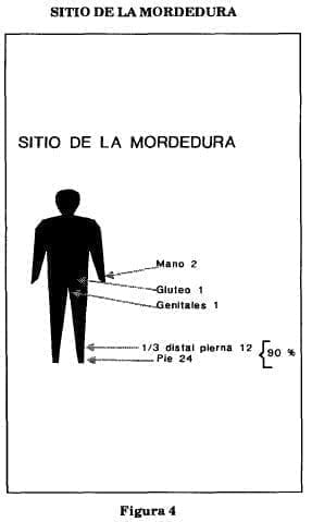 Sitio de mordedura Sitio de mordedura