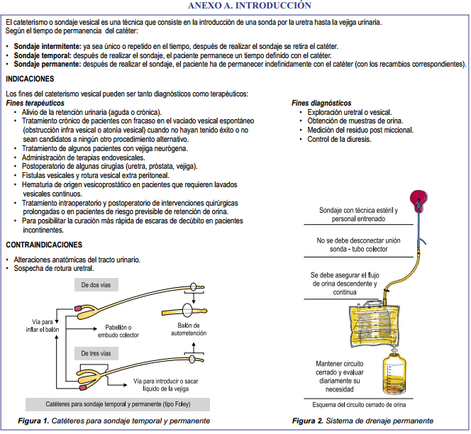 Cuidados con Catéter Urinario Permanente