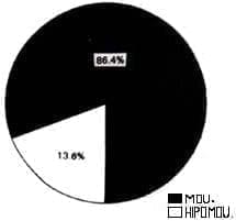 Distribución según amplitud de movimiento BOMBELI Distribución según amplitud de movimiento BOMBELI