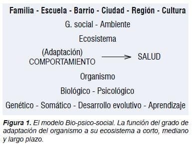Modelo Bio-psico-social, Importancia de la Familia