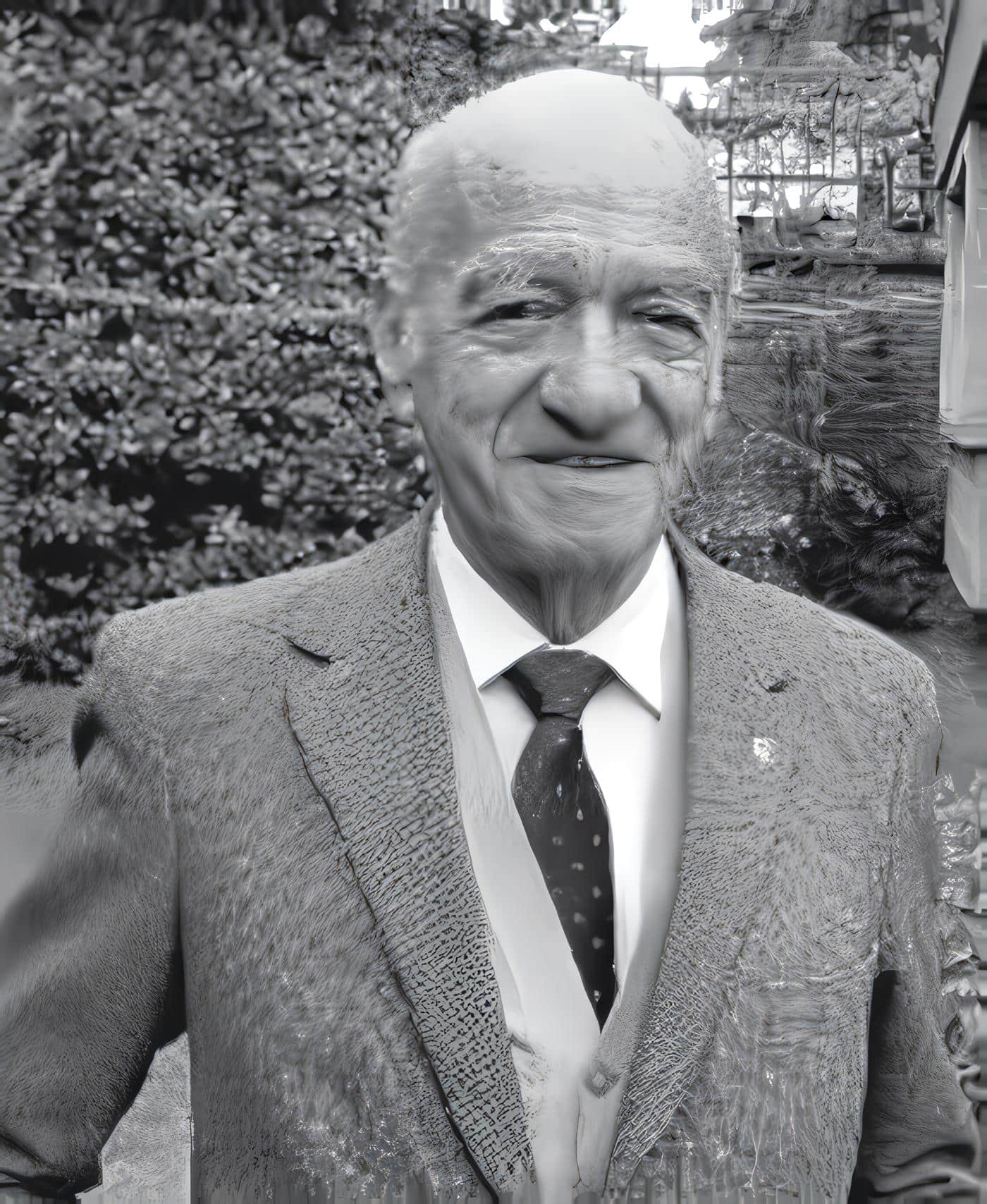 Académico Alberto Albornoz - Plata