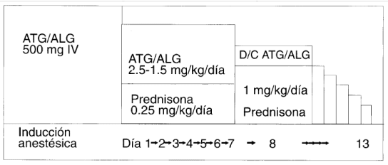 Esquema con globulinas antitimocítica y antilinfocítica Esquema con globulinas antitimocítica y antilinfocítica