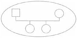 Familiograma nuclear