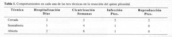 Técnicas en la resección del quiste pilonidal Técnicas en la resección del quiste pilonidal