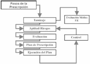 Pasos para la ejecución del programa de Prescripción del Ejercicio Pasos para la ejecución del programa de Prescripción del Ejercicio
