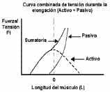 Aporte de los elementos flexibles Aporte de los elementos flexibles