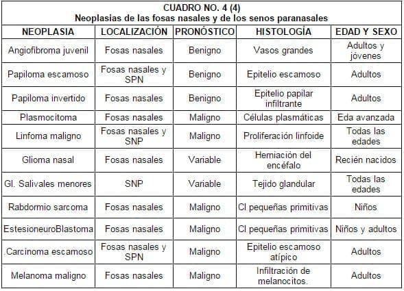 Neoplasias fosas nasales Neoplasias fosas nasales