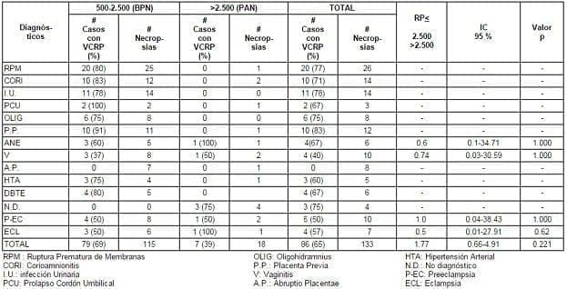 Viabilidad Celular Renal Postmortem