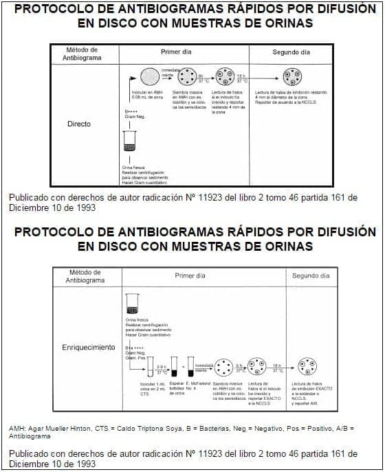 Protocolo de Antibiogramas
