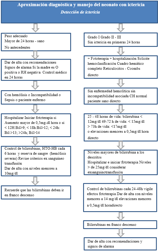 Aproximación diagnóstica y manejo del neonato con ictericia Aproximación diagnóstica y manejo del neonato con ictericia