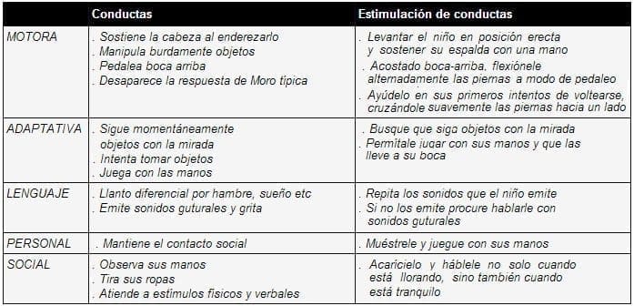 Desarrollo psicomotor 3 meses Desarrollo psicomotor 3 meses