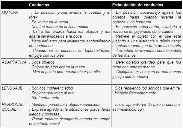 Desarrollo psicomotor 4 meses Desarrollo psicomotor 4 meses